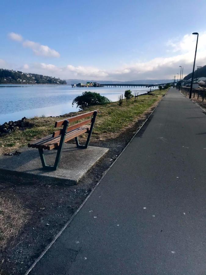 Villa Harbour Side Views Dunedin Exterior foto